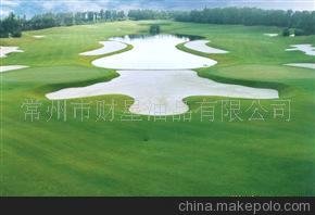 高爾夫球場(chǎng)草坪馬尼拉草坪 天堂草坪 高羊茅草坪大量批發(fā)各種草坪圖片