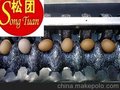 赣榆县青口镇松团洗蛋设备加工厂 JSST EGG WASHING MACHINE COMPANY