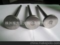供应 高压清洗设备专用   碳化钨 柱塞