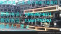 供应ZX870挖掘机配件,挖掘机链条