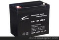 广东 赛能蓄电池SN-12V55CH报价 赛能电池{品牌}—赵宽