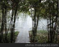 售金藍(lán)JL-PW霧森系統(tǒng)人造霧森人造景觀圖片