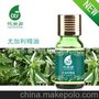 oilyong/欧丽源尤加利单方精油10ml  提神/改善鼻塞