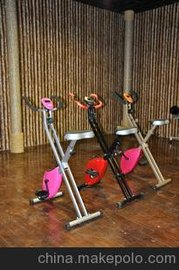 Magnetic exercise bike,