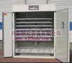贵阳孵化机 孵化机价格