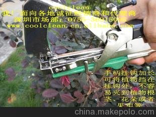 Ӧcool-4ǹ