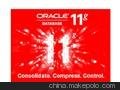 Oracle 11G DatabaseOracle 11G企业版价格