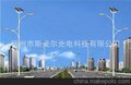 扬州路灯厂家专供福建福州地区LED路灯 太阳能路灯！