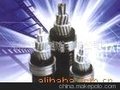 10kV、35kV架空绝缘电缆