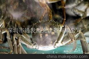 ڹ˼α̴——ͨ