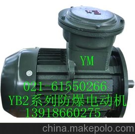 防爆電機(jī)YB2-801-4 防爆電機(jī)