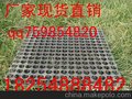 东胜排水板厂家供应%直销