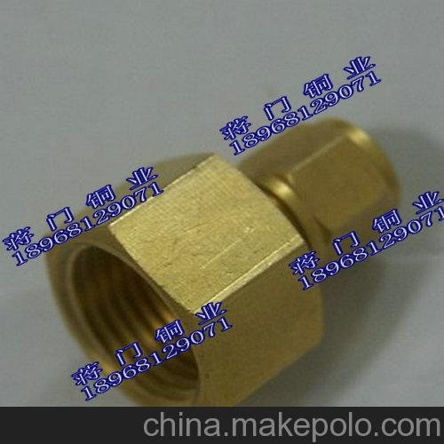 供應(yīng)蔣門銅業(yè)內(nèi)絲擴口接頭圖片