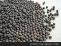 上海生物陶粒滤料挂膜效率高在巩义华龙