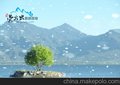 供应丽江拉市海旅游 丽江到拉市海湿地公园 一日游