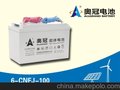 6-CNFJ-100光伏储能电池