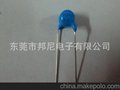 广东生产高压陶瓷电容30KV100PF CT81系列