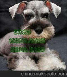 ﹷѩ{V\Ź۽Nѩ{